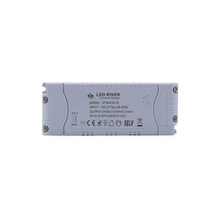 Driver 30 W