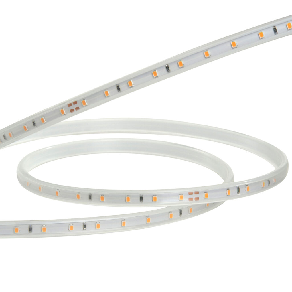 Tira LED PEGASUS 60 LED/m