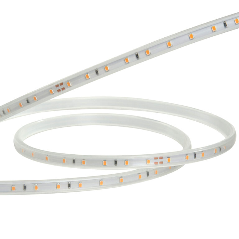 Tira LED PEGASUS 60 LED/m