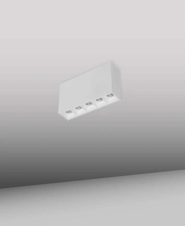 RASTER de sobreponer 10 W