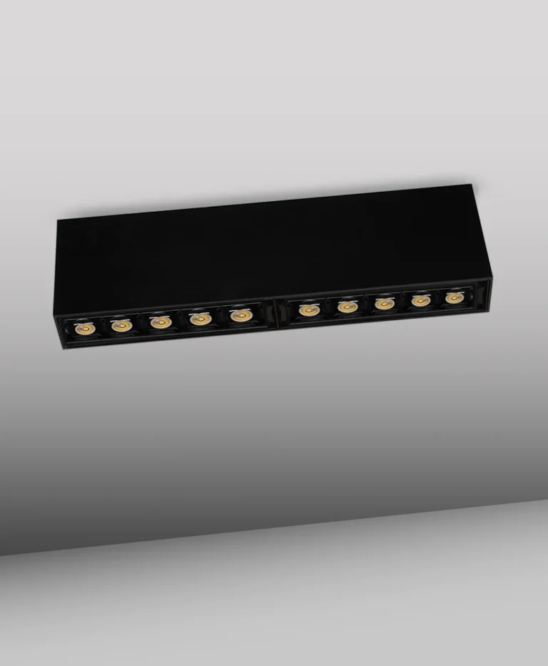 RASTER de sobreponer 20 W